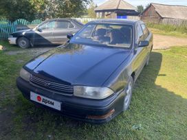  Toyota Camry 1993 , 250000 , 