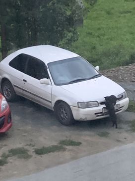  3  Toyota Corsa 1998 , 189000 , 