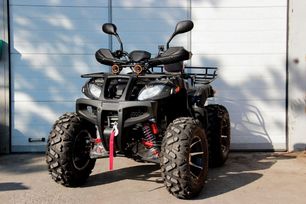   Yamaha Grizzly 250 2024 , 219990 , 