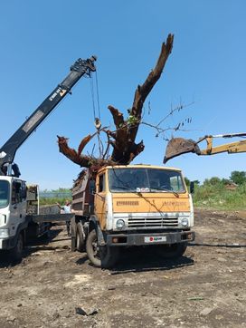   55111 1990 , 750000 , 