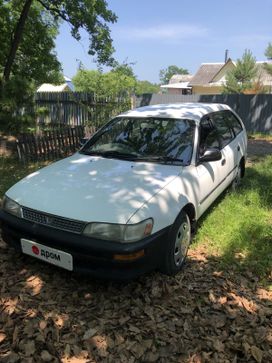  Toyota Corolla 1999 , 250000 , 