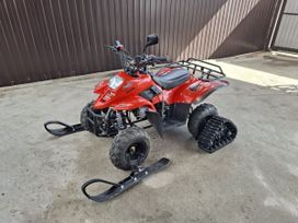  Tiger Opti, 2021
