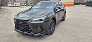 SUV   Lexus NX250 2023 , 6000000 , 