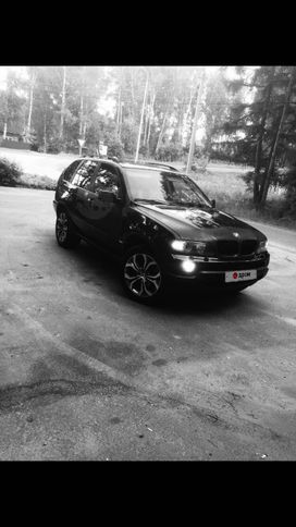 SUV   BMW X5 2004 , 1200000 , 