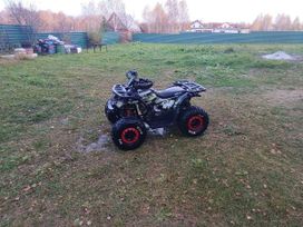  Wild 125, 2019