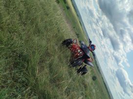   Irbis ATV250S 2013 , 155000 , 