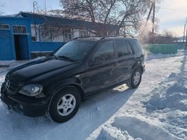 SUV   Mercedes-Benz M-Class 1998 , 350000 ,  