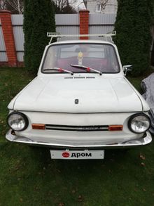  , 1981
