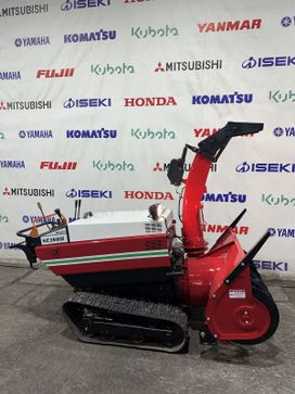   Wado Wado 2020 , 650000 , 