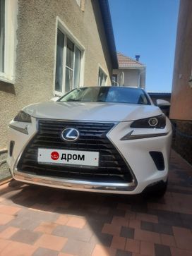 SUV   Lexus NX300 2019 , 4350000 , 