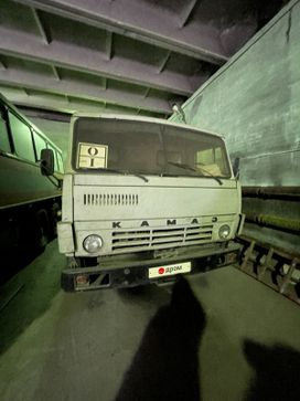    55111 1993 , 529293 , 