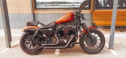  Harley-Davidson Sportster 883 2017 , 1100000 , 