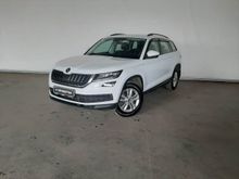  Kodiaq, 2019