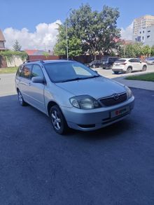  Corolla Fielder