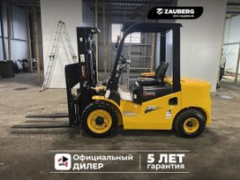   Zauberg DS30-X 2024 , 1524478 , 