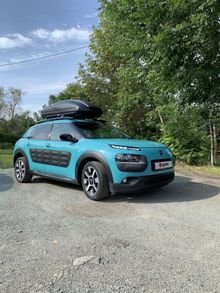  C4 Cactus, 2016