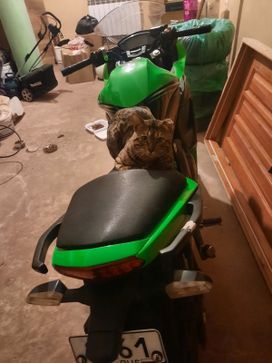  Kawasaki 400R NINJA 2012 , 400000 , 