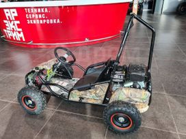  Motoland Gokart 100 2024 , 99999 , 