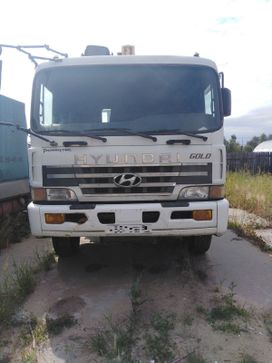  Hyundai Gold, 2004