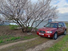 SUV   Subaru Forester 2002 , 725000 , 