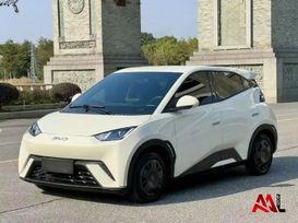  BYD Seagull 2024 , 1270000 , 
