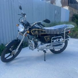  Alpha 110 2024 , 66000 , 