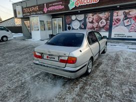  Nissan Primera 1999 , 245000 , 