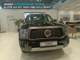  Great Wall Poer KingKong 2024 , 3539000 , 