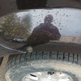 SUV   SsangYong Rexton 2007 , 600000 , 