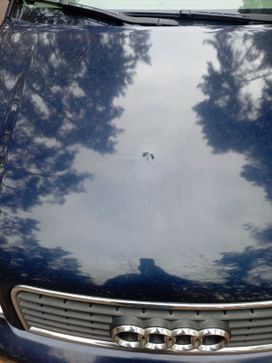  Audi A4 2003 , 615000 , 