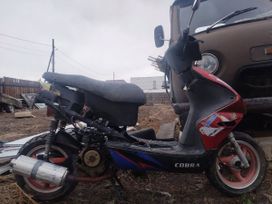  Cobra Cobra 2010 , 25000 , -