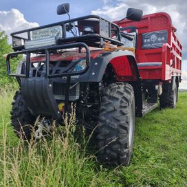   Zongshen Farmer UTV 300 2025 , 550000 , 