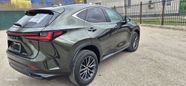 SUV   Lexus NX250 2023 , 6000000 , 