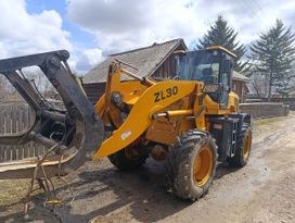   Shanlin ZL-30 2020 , 1300000 , 