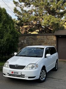  Corolla Fielder