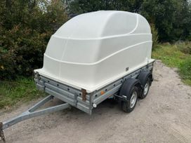    817731 2020 , 150000 , -