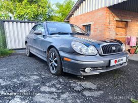  Sonata, 2001