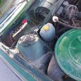  Audi 100 1980 , 250000 , 