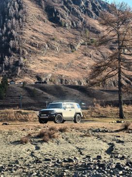  FJ Cruiser 2010