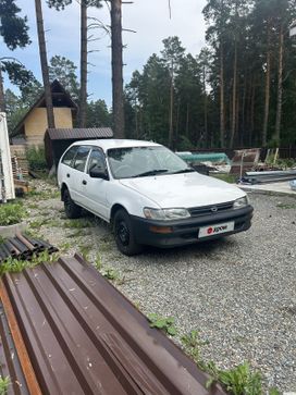 - Corolla, 1981