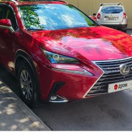 SUV   Lexus NX300 2020 , 3650000 , 