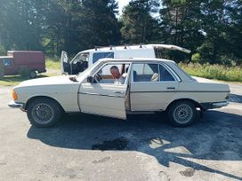  Mercedes-Benz Mercedes 1983 , 250000 , 