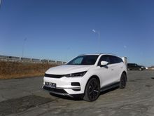 Tang, 2023