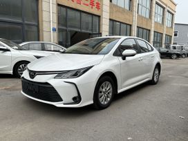  Corolla 2020