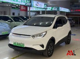 SUV   BYD Yuan Pro 2022 , 1330000 , 