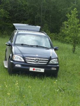  M-Class 2002