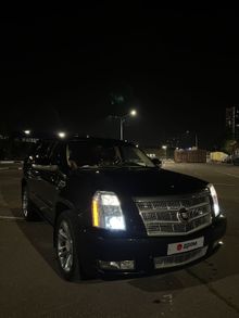  Escalade, 2013