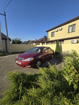  Toyota Corolla 2003 , 515000 , 