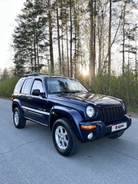 SUV   Jeep Liberty 2002 , 440000 , 