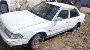  Carina II, 1991